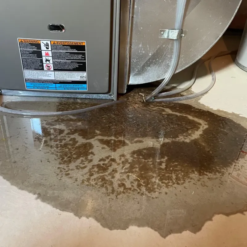 Appliance Leak Cleanup in Johnston County, NC